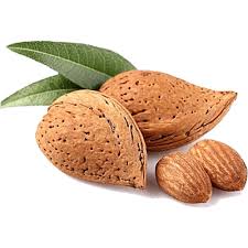 تصویر 1 از بادام شاهرودی مرغوب خرید به صرفه